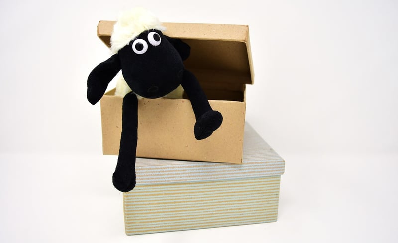 Cardboard Scratcher