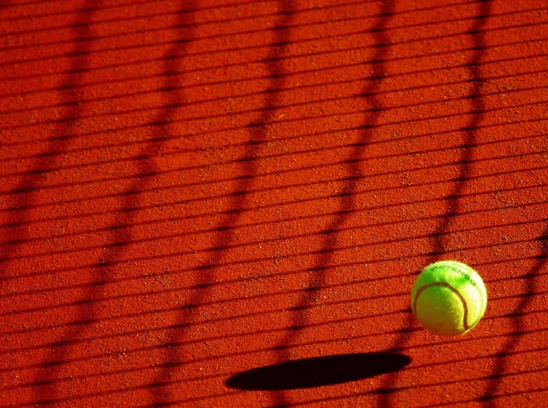 Tennis Ball Puzzle Feeder