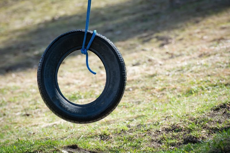 Tyre Swing